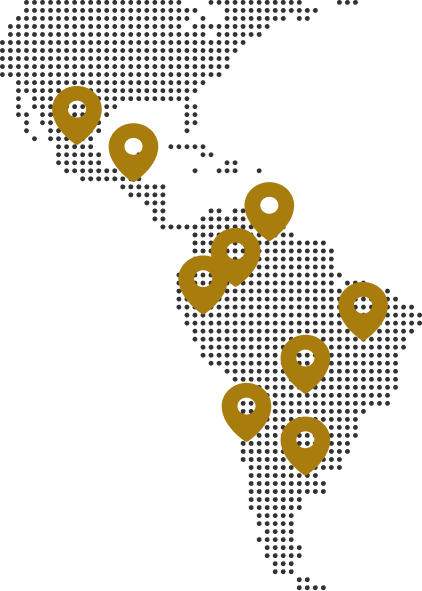 Mapa de Presencia Global